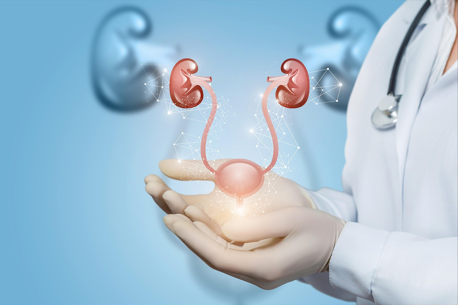 👨‍⚕️ Urologiya