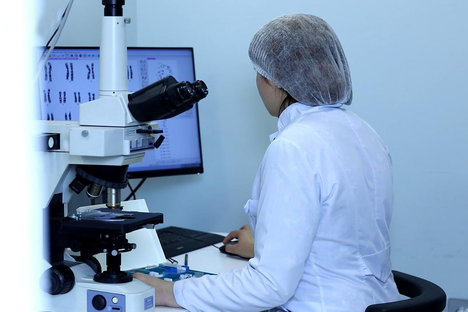🧬 Genetika Şöbəsi